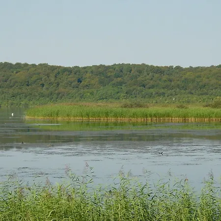 Apartment Haus Frohsinn - 7 Binz